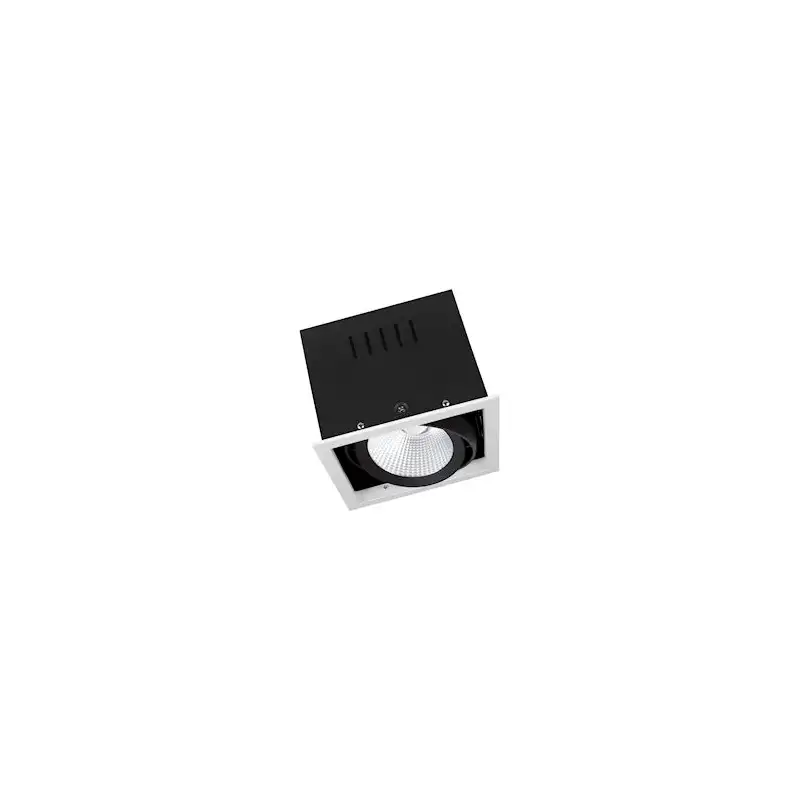 Spot MULTI 1x30W/3000K 2700lm 38° blanc/noir spot cardanique