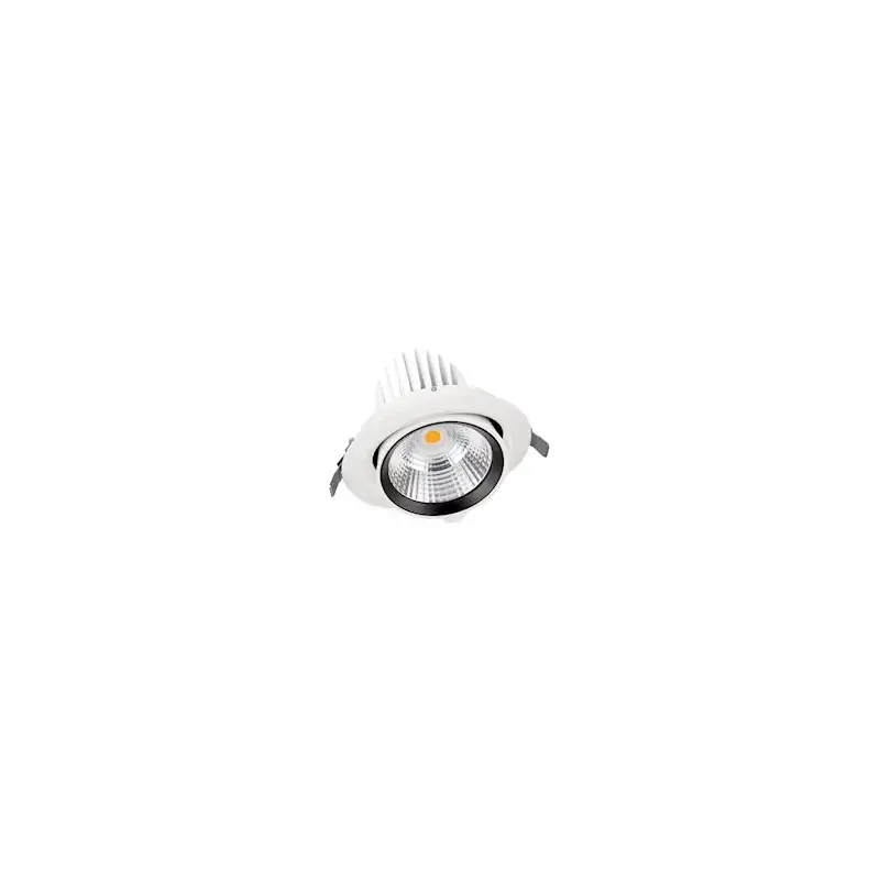 Spot VARIO DN170 35W/3000K 3350lm 24° blanc spot extractible